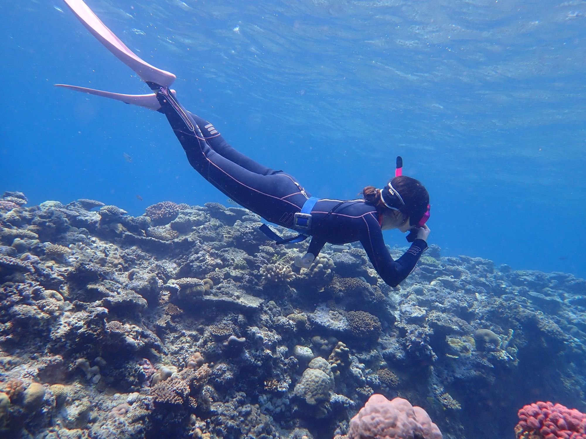 那覇から日帰りで憧れの素潜り体験！初心者大歓迎のスキンダイビングで見つける「ケラマブルー」の世界