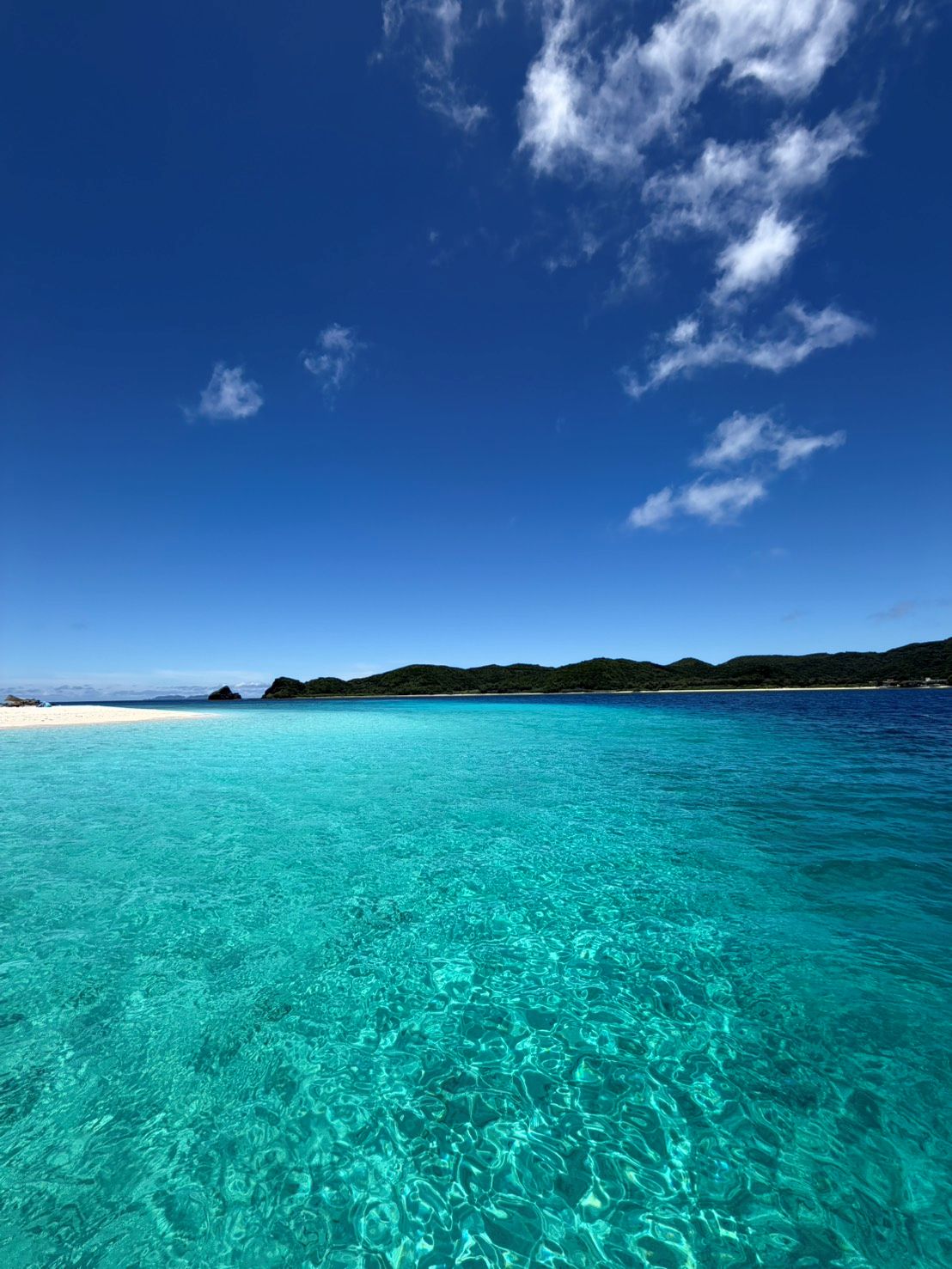 座間味島の海🌊
