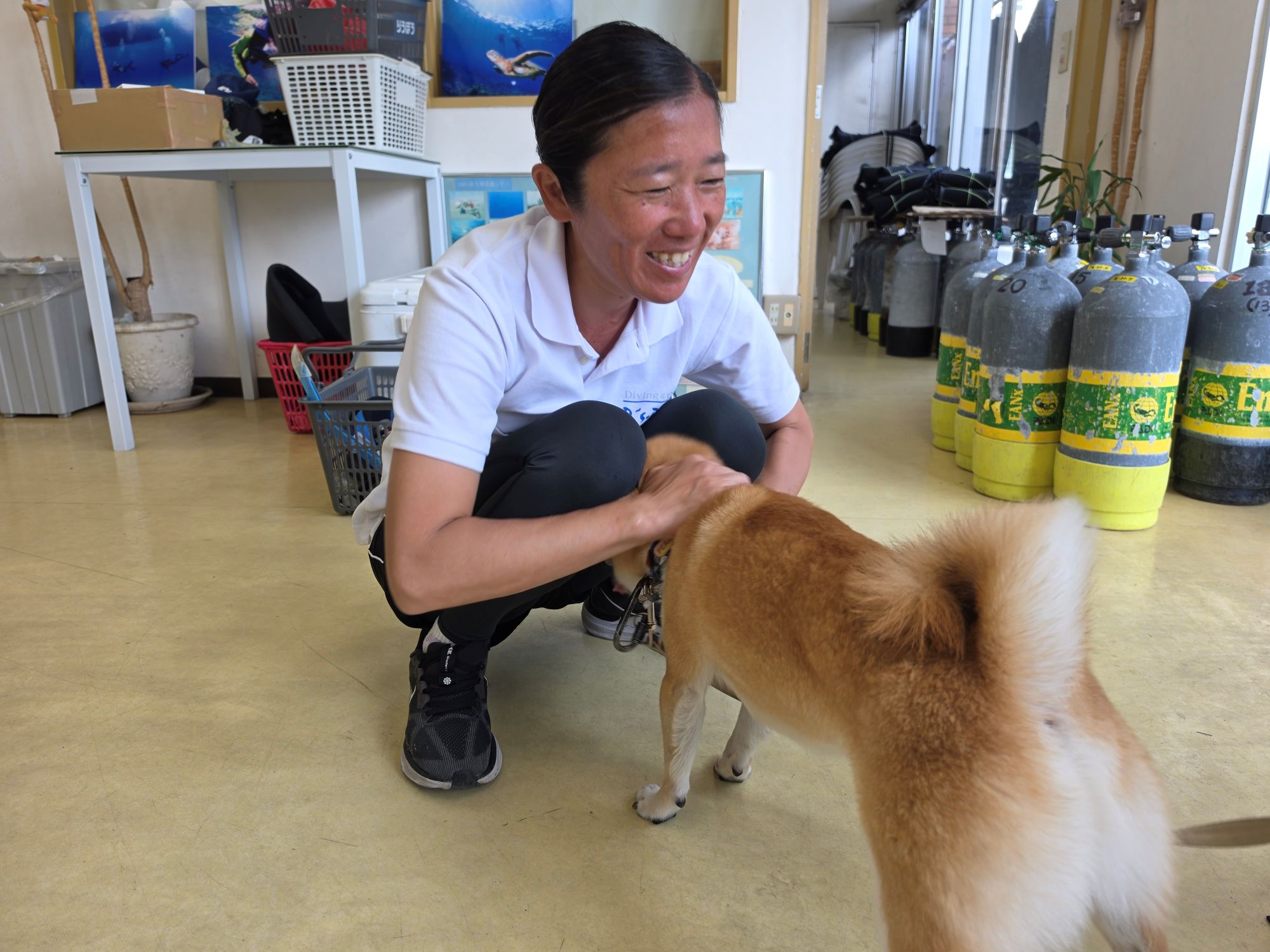 ほぼ毎日ナビー🐶