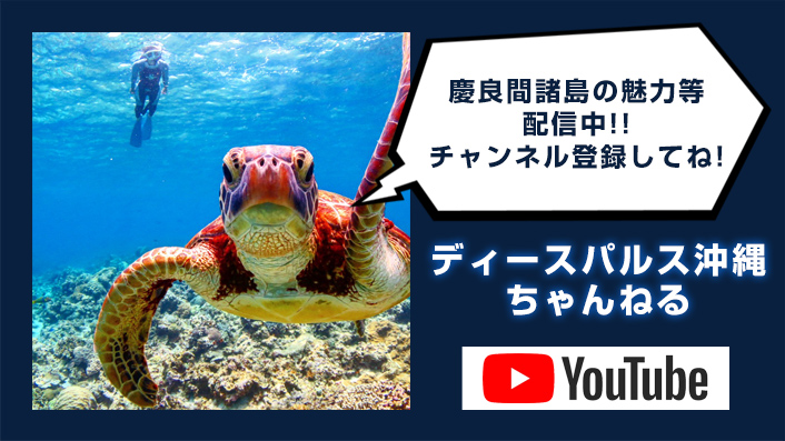 【動画で体感！】ディーズパルス沖縄の公式YouTubeチャンネルで海の魅力を発信中！